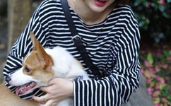 广西东兴封控51天日增136例